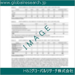 グローバルリサーチ調査資料のイメージ